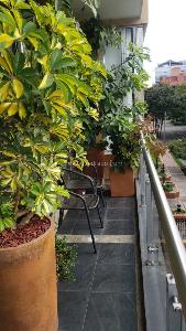 Apartamento en venta en Santa Barbara Occidental, Bogotá · foto 8 de 20