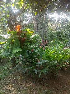 Casa de 4 alcobas en venta en Condominio Hacienda Santa Teresita, Villavicencio · foto 15 de 18