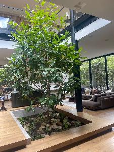 Casa de 5 alcobas en venta en Santa Ana Oriental, Bogotá, 700 m² · foto 15 de 20