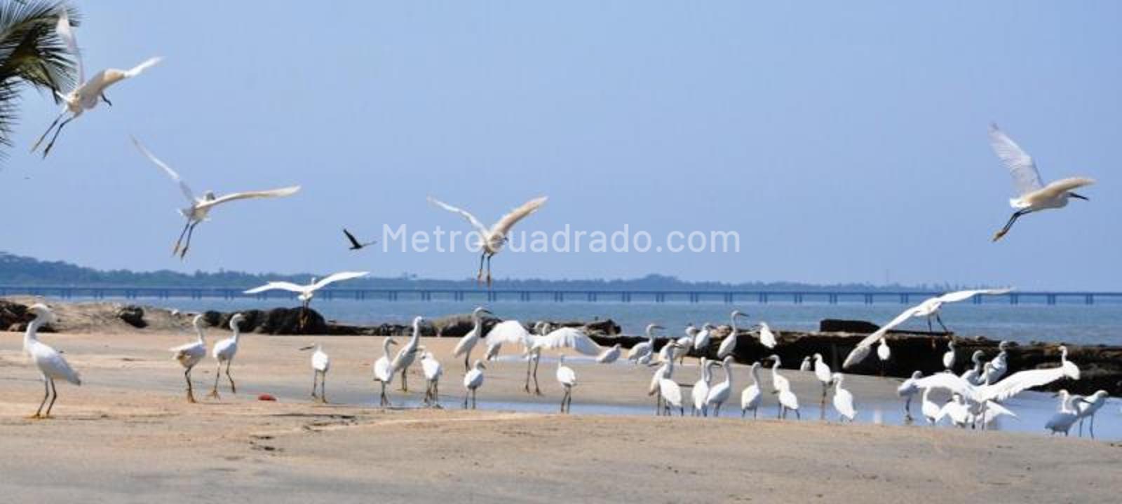 Arriendo de Apartamento en Zona hotel decameron - Santa Marta - 920 ...