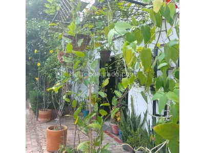 Casa de 3 alcobas en venta en Norte, Girardot, 67 m² · foto 6 de 15