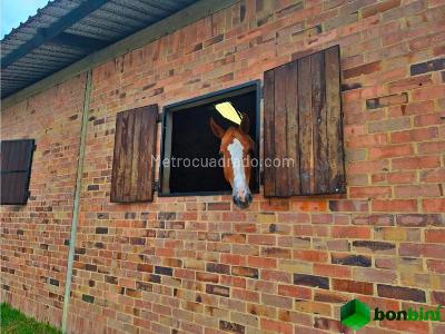 Casa de 4 alcobas en venta en Norte, Bogotá, 517 m² · foto 6 de 10