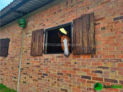 Casa de 4 alcobas en venta en Norte, Bogotá, 470 m² · foto 12 de 16