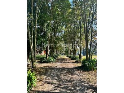 Casa de 3 alcobas en venta en Norte, Chía, 233 m² · foto 7 de 7