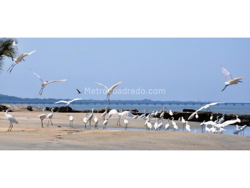 Apartment for rent in Santa Marta