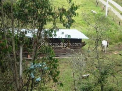 Casa de 4 alcobas en venta en Norte, La Calera, 700 m² · foto 19 de 19