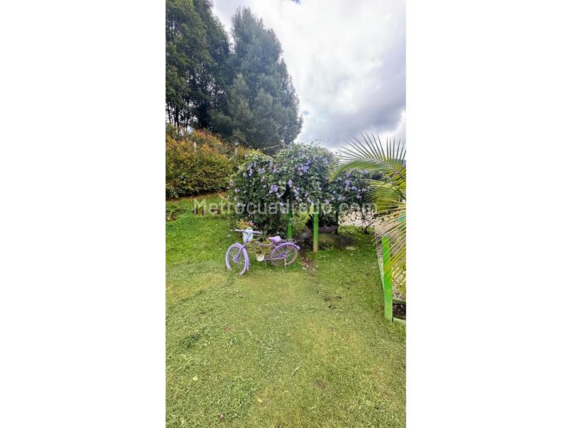 Casa – Sajonia, Rionegro - Más
