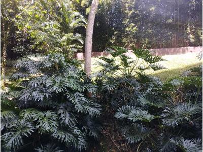 Apartamento en venta en Cumbres, Envigado · foto 2 de 17