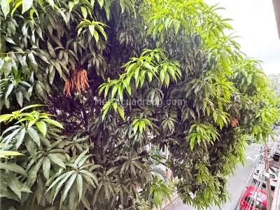 Apartamento en venta en La Magnolia, Envigado · foto 3 de 13