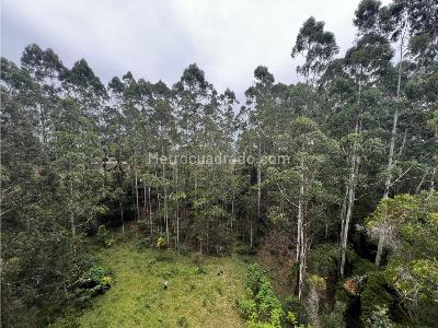 Apartamento en arriendo en Fontibon, Rionegro · foto 15 de 15
