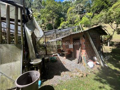 Casa de 5 alcobas en venta en El Salado, Envigado, 253 m² · foto 3 de 20