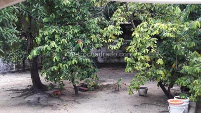 Casa de 5 alcobas en venta en San Jose, Barranquilla, 310 m² · foto 11 de 11
