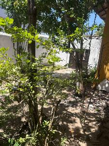 Casa de 5 alcobas en venta en La Concepcion, Barranquilla, 685 m² · foto 2 de 11
