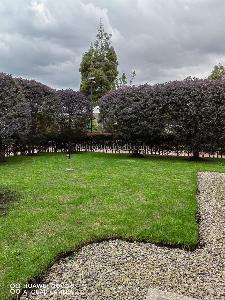 Casa en venta en Guaymaral, Bogotá · foto 10 de 20