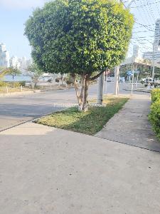 Apartamento de 3 alcobas en venta en Bocagrande, Cartagena, 77 m² · foto 3 de 17