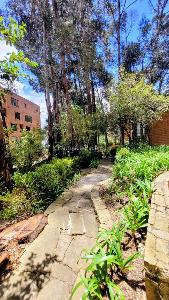Apartamento de 3 alcobas en venta en Altos De Montearroyo, Bogotá, 250 m² · foto 16 de 16