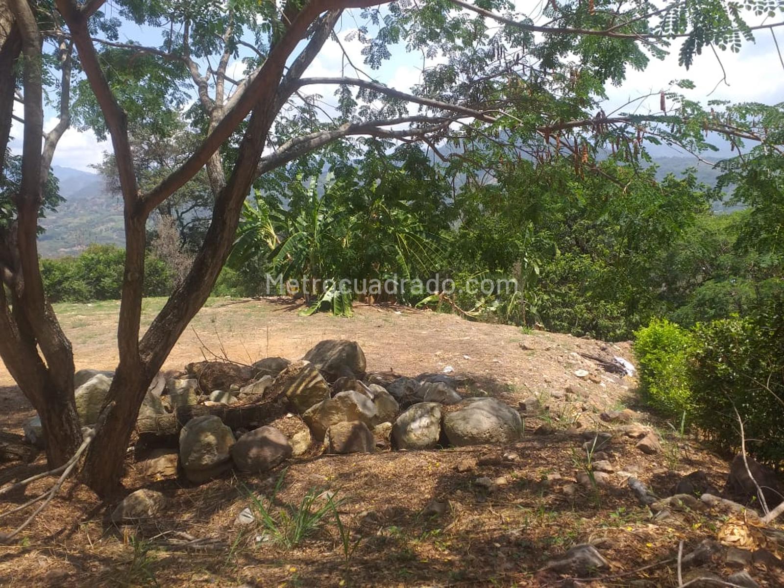 Venta de Lote o Casalote en Vereda trinidad - La Mesa - 9947-M5284827