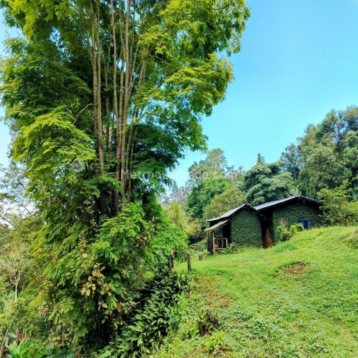 Venta de Finca en Santa rita - Cali - 9947-M5448480