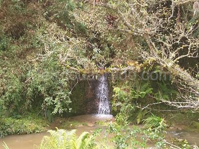Casa en arriendo en El Hato, La Calera · foto 15 de 17