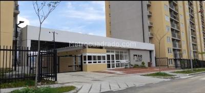 Apartamentos en Arriendo en Bio Santa Cruz Ibagu Vivienda