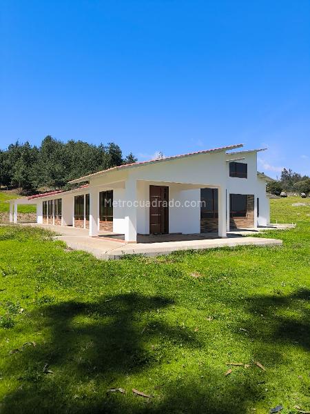 Lote En Venta, Finca Casa Quinta En HatoChico