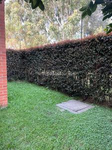 Casa de 3 alcobas en arriendo en Los Arrayanes, Bogotá, 260 m² · foto 19 de 20