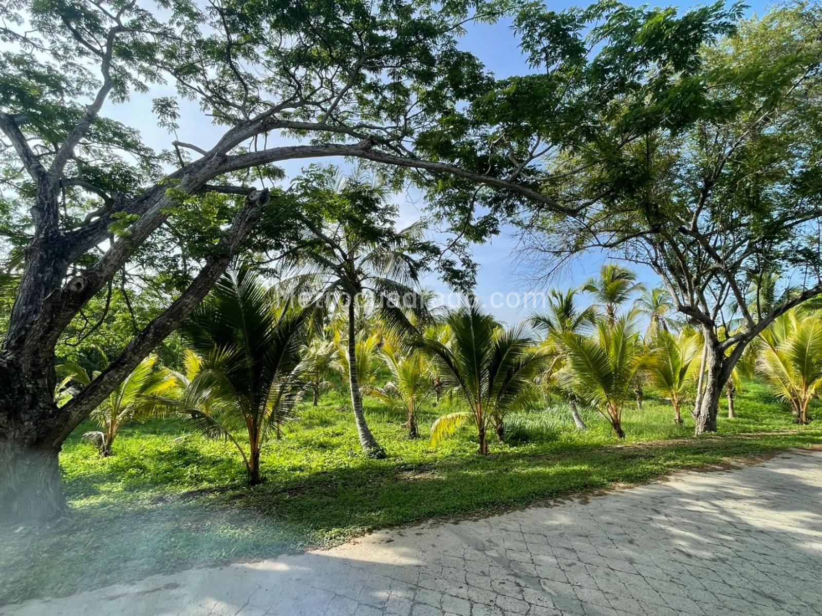 Lote en Venta, ISLA DE BARU LOTE 107 CONDOMINIO MARINA DE BARU, Cartagena de Indias - Vista 5