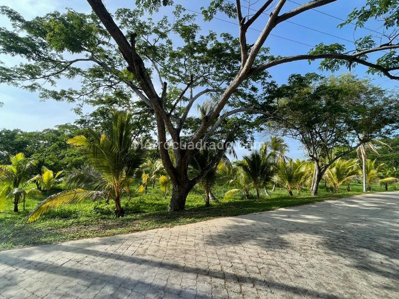 Lote en Venta, ISLA DE BARU LOTE 107 CONDOMINIO MARINA DE BARU, Cartagena de Indias - Vista 3