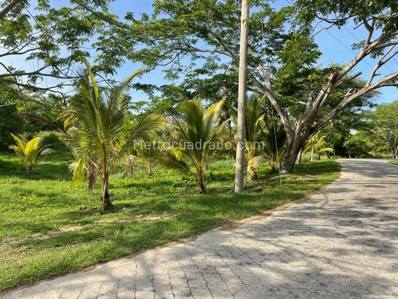Lote en Venta, ISLA DE BARU LOTE 107 CONDOMINIO MARINA DE BARU, Cartagena de Indias - Vista 4