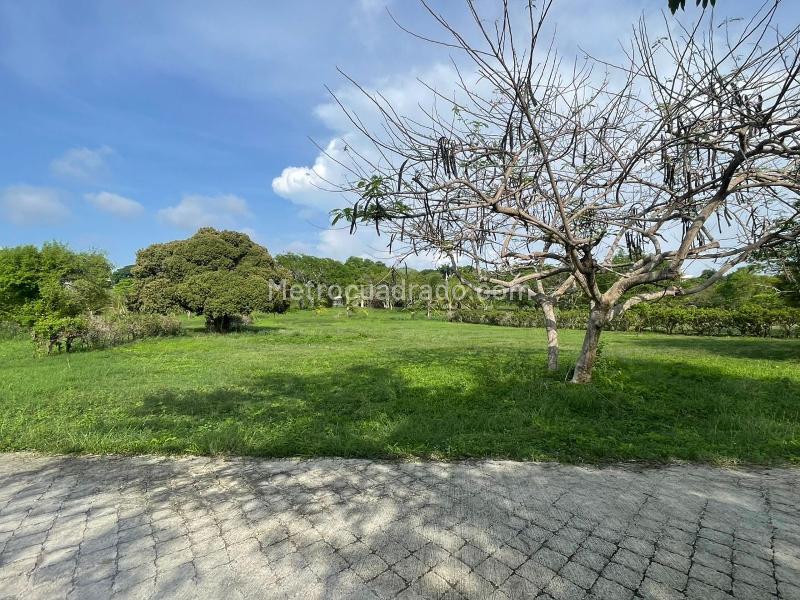 Lote en Venta, ISLA DE BARU LOTE 220 CONDOMINIO MARINA DE BARU, Cartagena de Indias - Vista 4