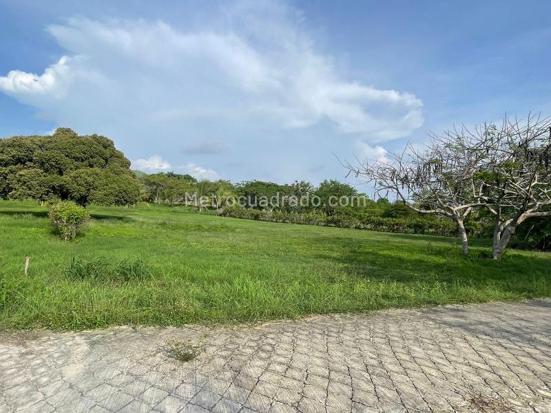 Lote en Venta, ISLA DE BARU LOTE 220 CONDOMINIO MARINA DE BARU, Cartagena de Indias - Vista 5