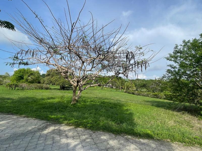 Lote en Venta, ISLA DE BARU LOTE 220 CONDOMINIO MARINA DE BARU, Cartagena de Indias - Más