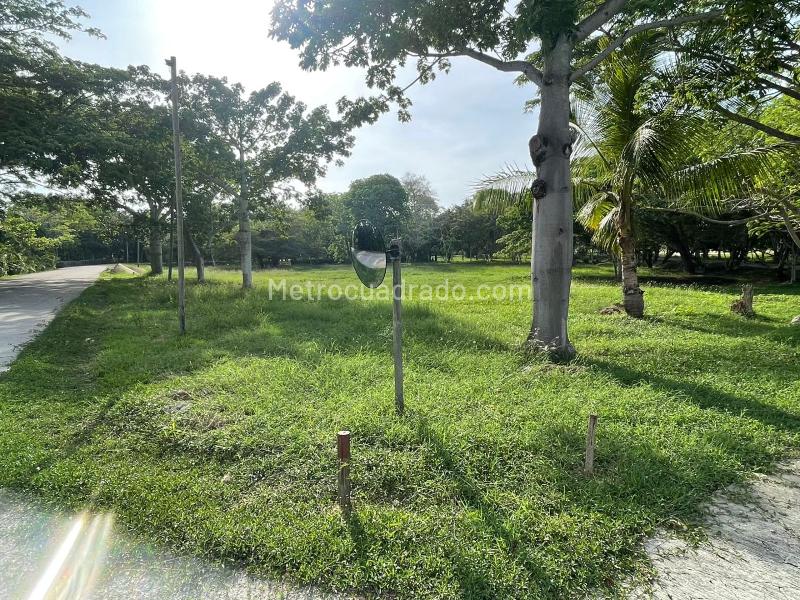 Lote en Venta, ISLA DE BARU LOTE 1B CONDOMINIO MARINA DE BARU, Cartagena de Indias - Vista 2