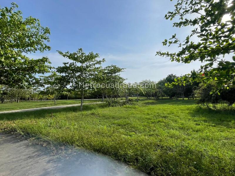 Lote en Venta, ISLA DE BARU LOTE 1B CONDOMINIO MARINA DE BARU, Cartagena de Indias - Vista 3