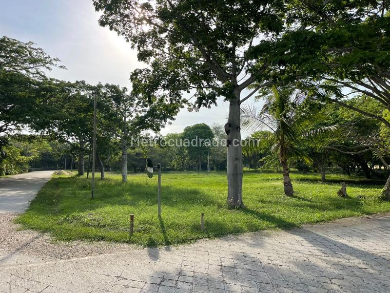 Lote en Venta, ISLA DE BARU LOTE 1B CONDOMINIO MARINA DE BARU, Cartagena de Indias - Vista 4