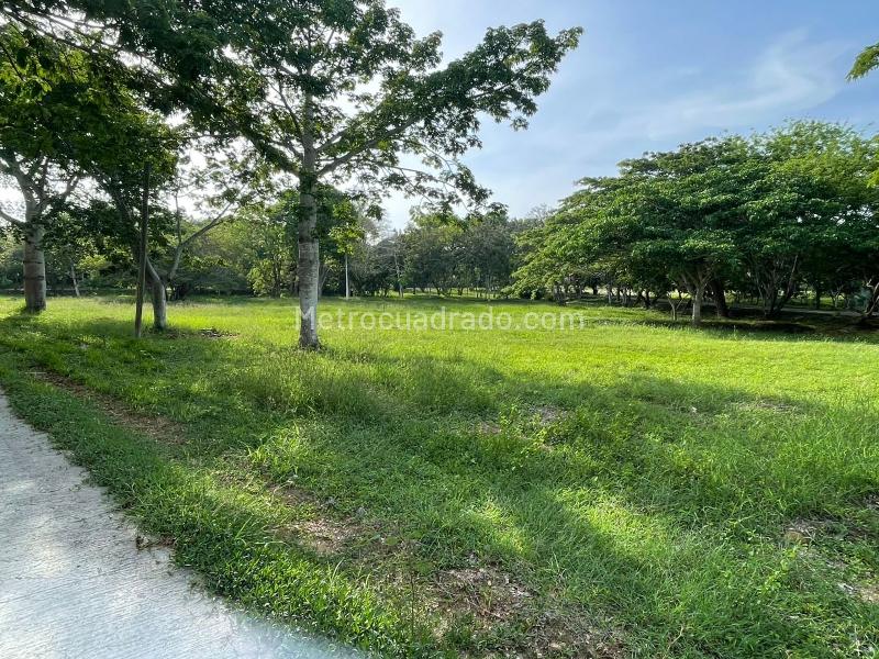 Lote en Venta, ISLA DE BARU LOTE 1B CONDOMINIO MARINA DE BARU, Cartagena de Indias - Vista 5