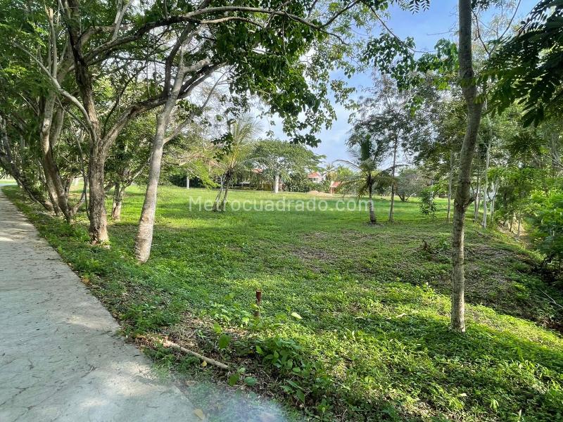 Lote en Venta, ISLA DE BARU LOTE 1B CONDOMINIO MARINA DE BARU, Cartagena de Indias - Más