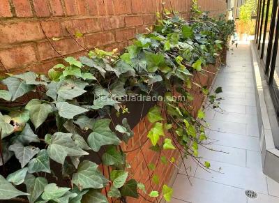 Apartamento de 2 alcobas en venta en Chico Navarra, Bogotá, 75 m² · foto 11 de 19