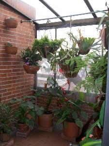 Casa en venta en Niza, Bogotá · foto 11 de 16