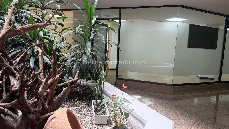 Local Comercial en Arriendo, ESTRELLA   Zona Urbana , Manizales - Widok 2