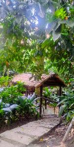 Apartaestudio en venta en Conjunto Residencial Bosque Nativo, Ibagué, 47 m² · foto 8 de 10