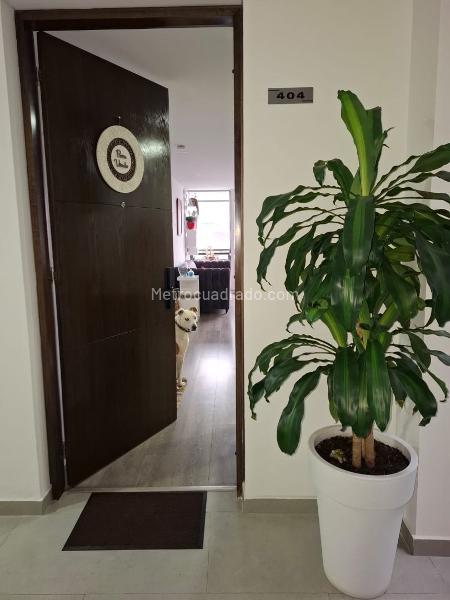 Piso – Bogotá, Pablo VI, Localidad Teusaquillo - Más