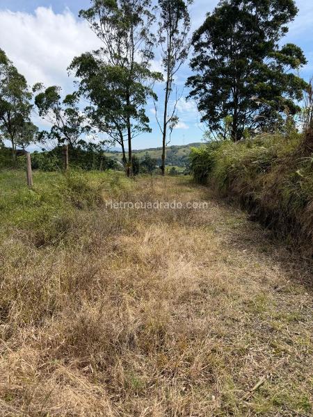 Lote en Venta, El manzano, Pereira - Поглед 4