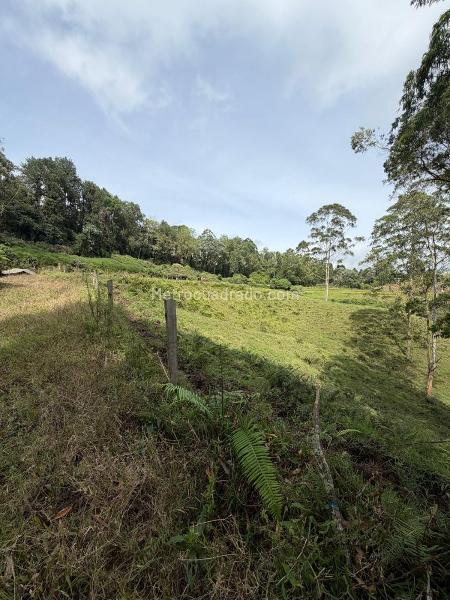 Lote en Venta, El manzano, Pereira - Поглед 5