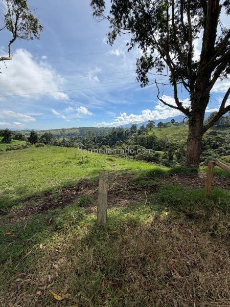 Lote en Venta, El manzano, Pereira - Повеќе