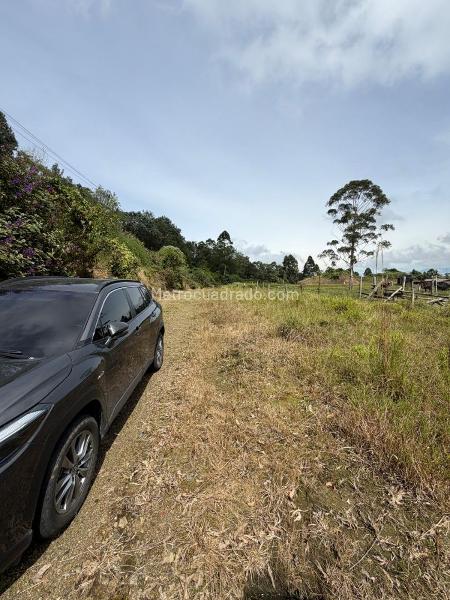 Lote en Venta, El manzano, Pereira - Поглед 3