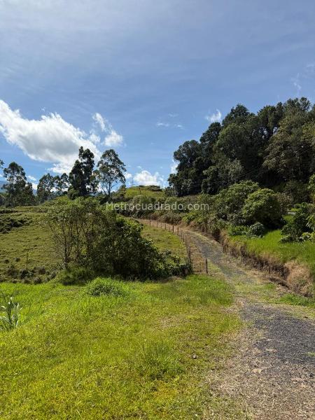 Lote en Venta, El manzano, Pereira - Поглед 2