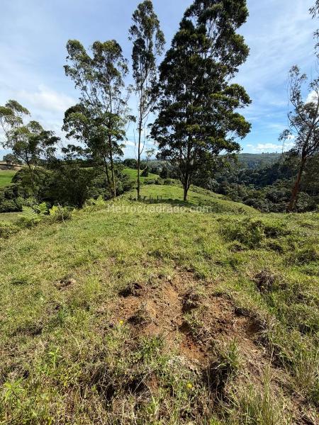 Lote en Venta, El manzano, Pereira - Поглед 6