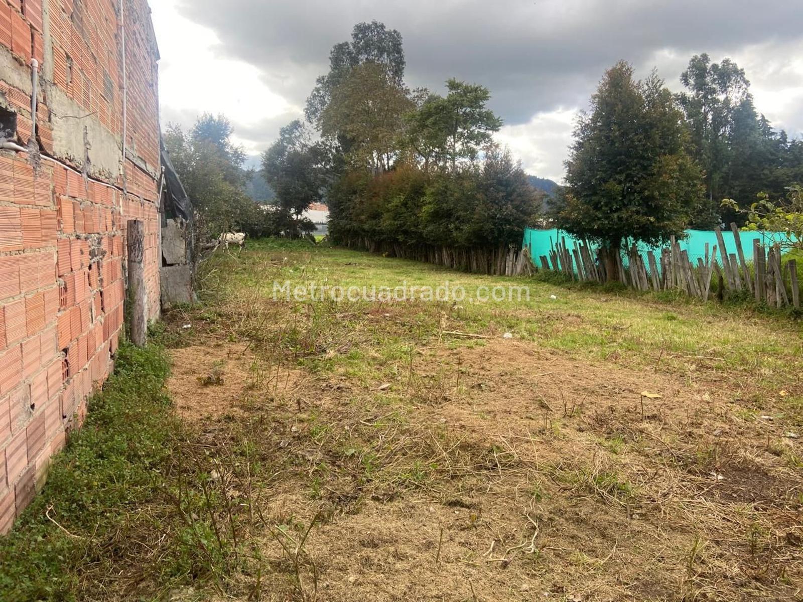 Lote en Venta, Vereda la balsa, Chía - Vista 4