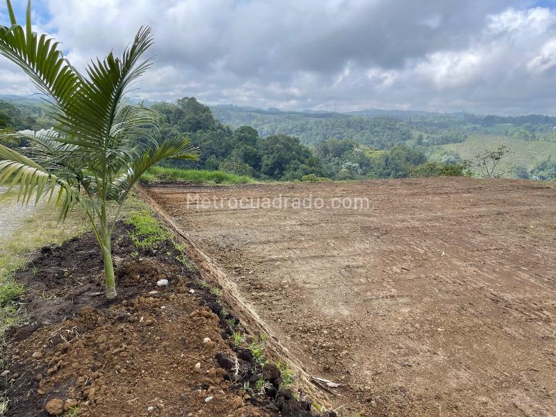 Lote en Venta, VEREDA TRIBUNAS Zona Urbana, Pereira - Vista 2